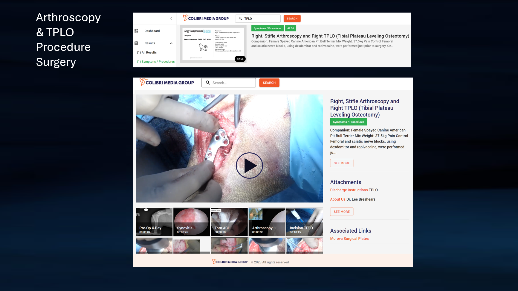 TPLO Procedure